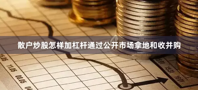 散户炒股怎样加杠杆通过公开市场拿地和收并购