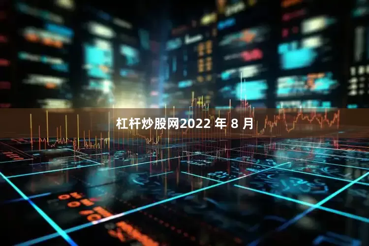 杠杆炒股网2022 年 8 月