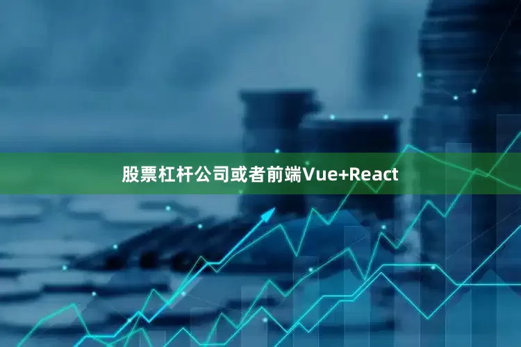 股票杠杆公司或者前端Vue+React
