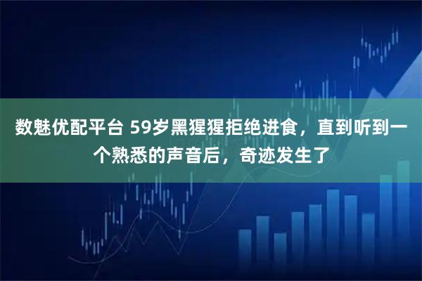 数魅优配平台 59岁黑猩猩拒绝进食，直到听到一个熟悉的声音后，奇迹发生了