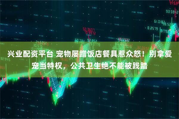兴业配资平台 宠物屡蹭饭店餐具惹众怒！别拿爱宠当特权，公共卫生绝不能被践踏